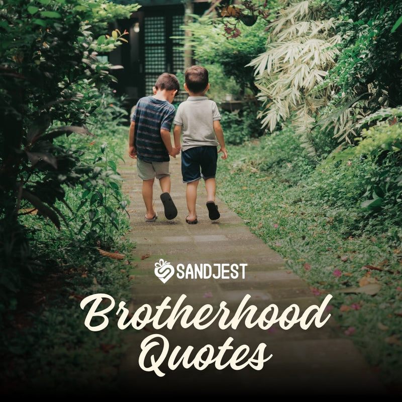 Quotes about brotherhood that highlight the deep connection and brotherly love shared between friends.