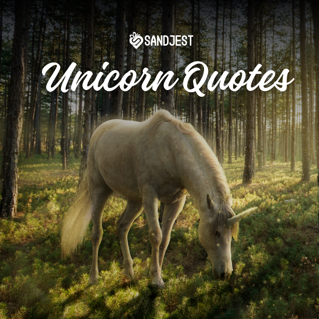 Find inspiration with our collection of beautiful unicorn quotes.