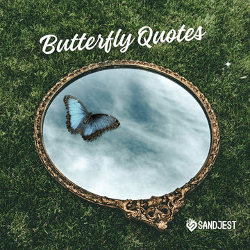 Discover beautiful butterfly quotes that inspire transformation and growth.