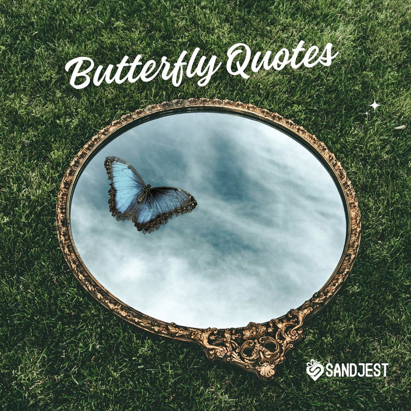 Discover beautiful butterfly quotes that inspire transformation and growth.