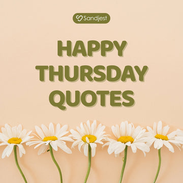 Begin your Thursday with calm energy and motivation using gentle happy Thursday quotes.
