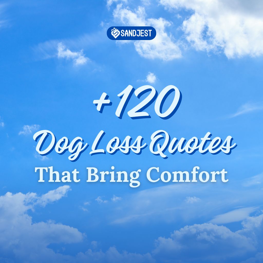 Discover over 120 dog loss quotes to bring solace amidst the clouds.
