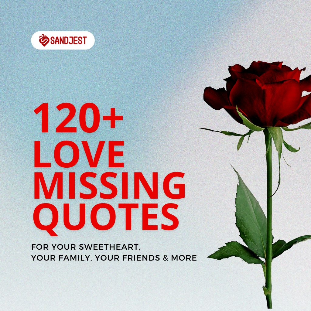 A vibrant red rose symbolizes the essence of 120+ love missing quotes, offering comfort for those yearning for family and friends.