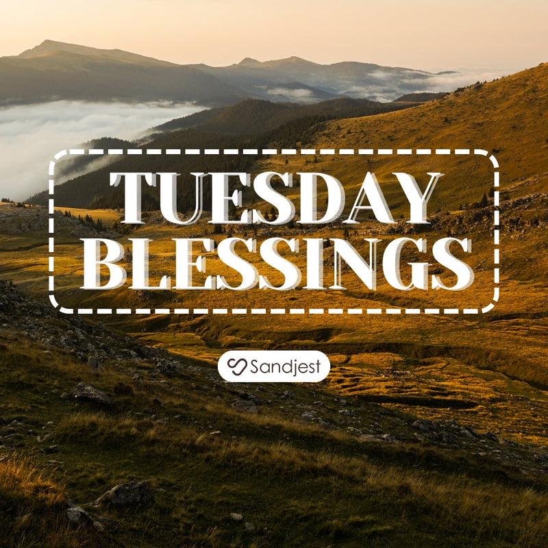 A calm message early Tuesday can be the one thing that stays with you.