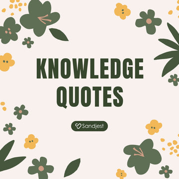 Keep inspired and stay curious with carefully chosen knowledge quotes that stay with you.