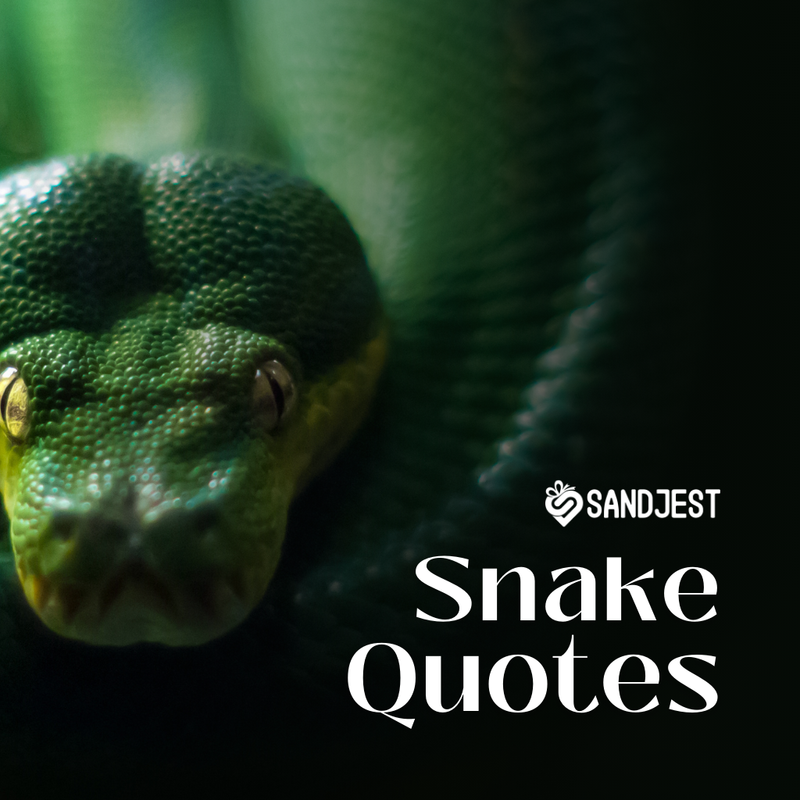 Discover the wisdom and insights these snake quotes offer