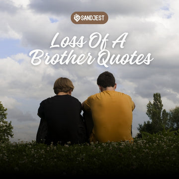 Explore loss of a brother quotes that capture the essence of brotherly love and loss.