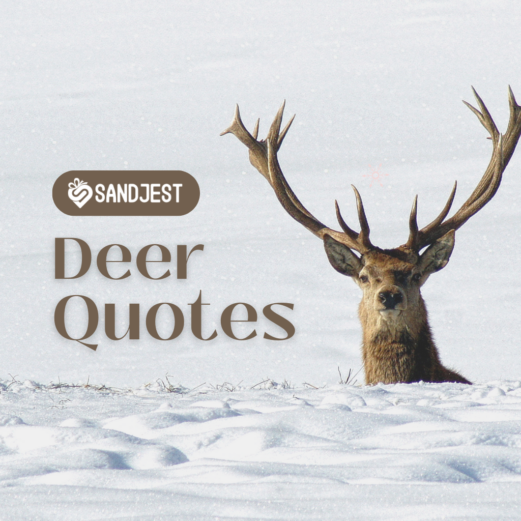 Explore a collection of inspiring deer quotes for your next hunting season.