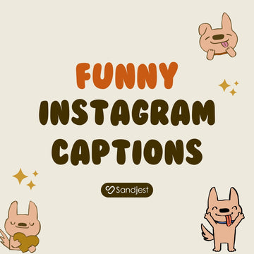 130+ Funny Instagram Captions Make Everyone Laugh