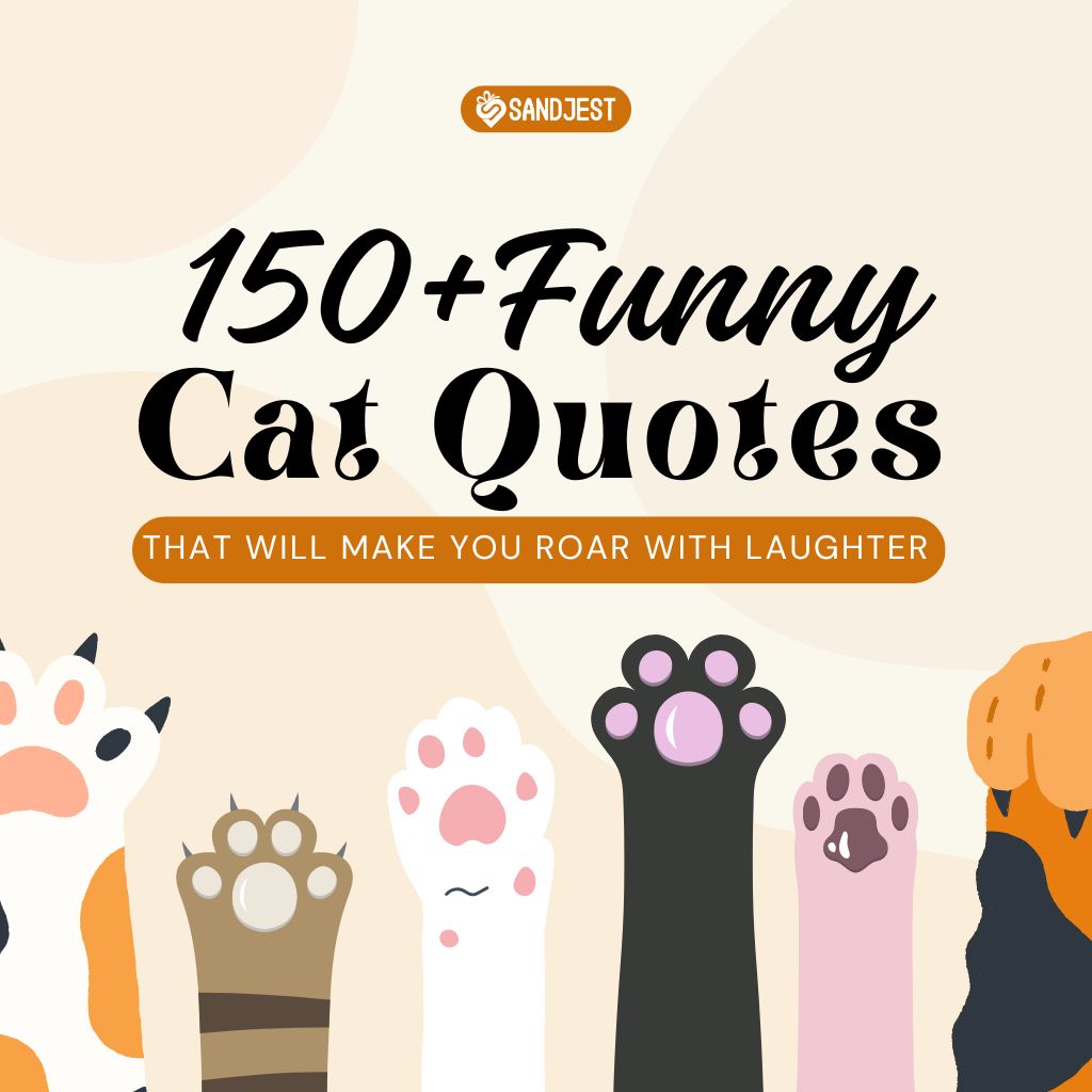 A collection of adorable cat paws paired with the promise of hilarious cat quotes that will have you chuckling.