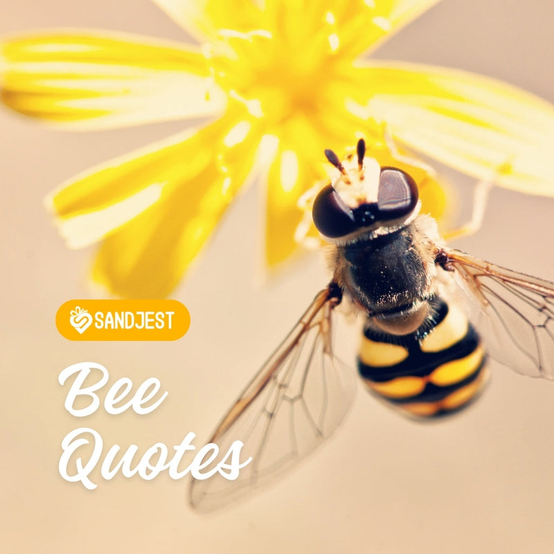 Discover the magic of bees through captivating quotes and sayings.