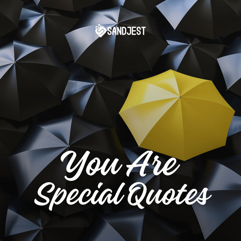 Explore our collection of the best you are special quotes with a simple design in this article.