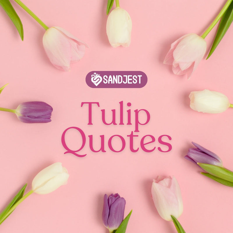 Share the beauty of spring with inspiring tulip quotes for your Instagram posts.