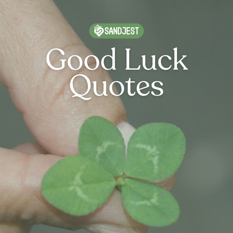Stay motivated and inspired with these carefully chosen inspirational good luck quotes.