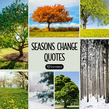 Reflect on life’s gentle shifts with inspiring seasons change quotes that bring clarity.