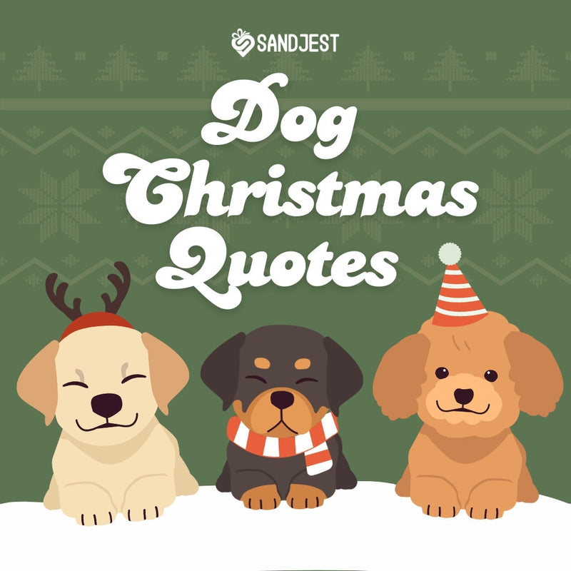 Discover the best dog Christmas quotes to celebrate the festive season in this article. 