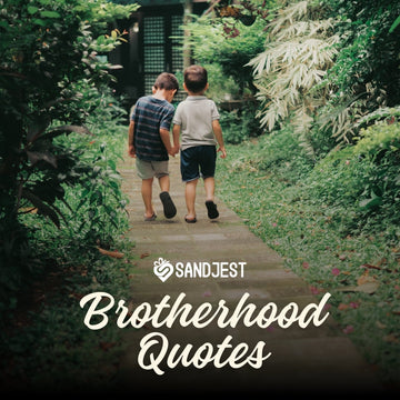 Quotes about brotherhood that highlight the deep connection and brotherly love shared between friends.