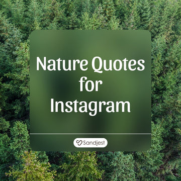 190+ Beautiful Nature Quotes for Instagram to Inspire Your Feed