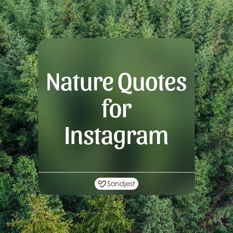 190+ Beautiful Nature Quotes for Instagram to Inspire Your Feed