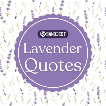 Find peace and wisdom through these profound lavender quotes and sayings.