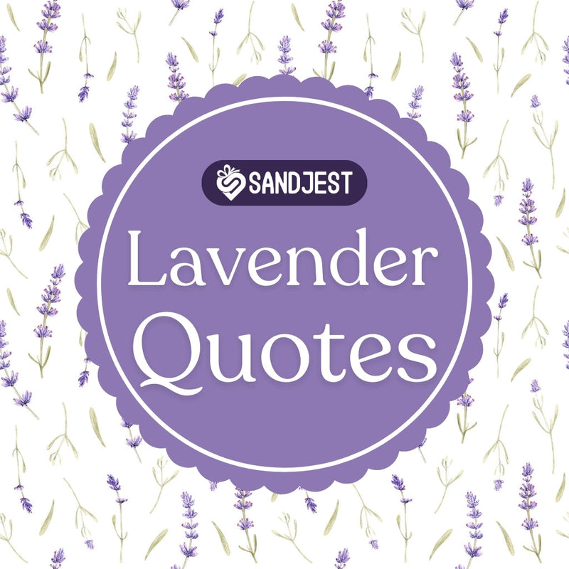 Find peace and wisdom through these profound lavender quotes and sayings.
