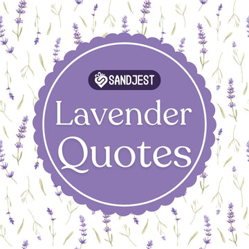 Find peace and wisdom through these profound lavender quotes and sayings.