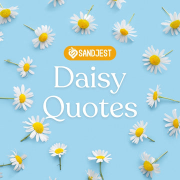 Brighten your feed with these beautiful daisy flower quotes that celebrate nature’s charm.
