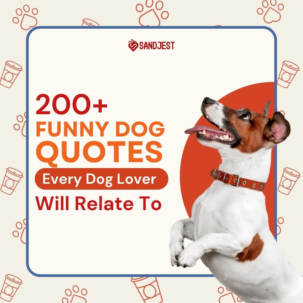 A joyful Jack Russell terrier on a promotional image for 200+ funny dog quotes