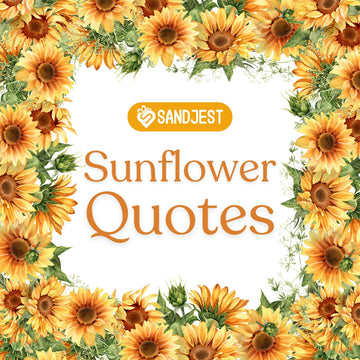 Brighten your day with these simple and uplifting sunflower quotes.