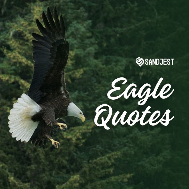 Explore powerful eagle quotes that inspire courage and vision.