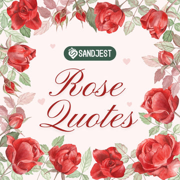 Brighten your thoughts with these beautifully crafted best rose quotes.