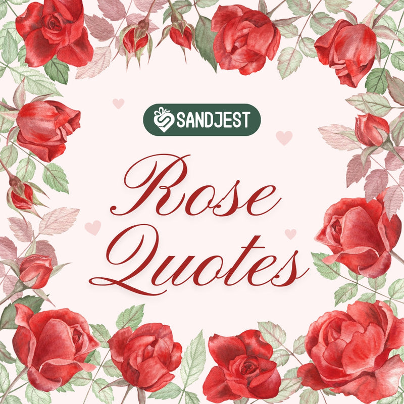 Brighten your thoughts with these beautifully crafted best rose quotes.