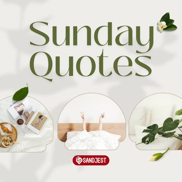 Start your week with positivity and inspiration through meaningful Sunday quotes and reflections.