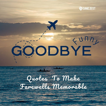 Sunset and silhouette of an airplane with 'Funny Goodbye Quotes to Make Farewells Memorable' by Sandjest.
