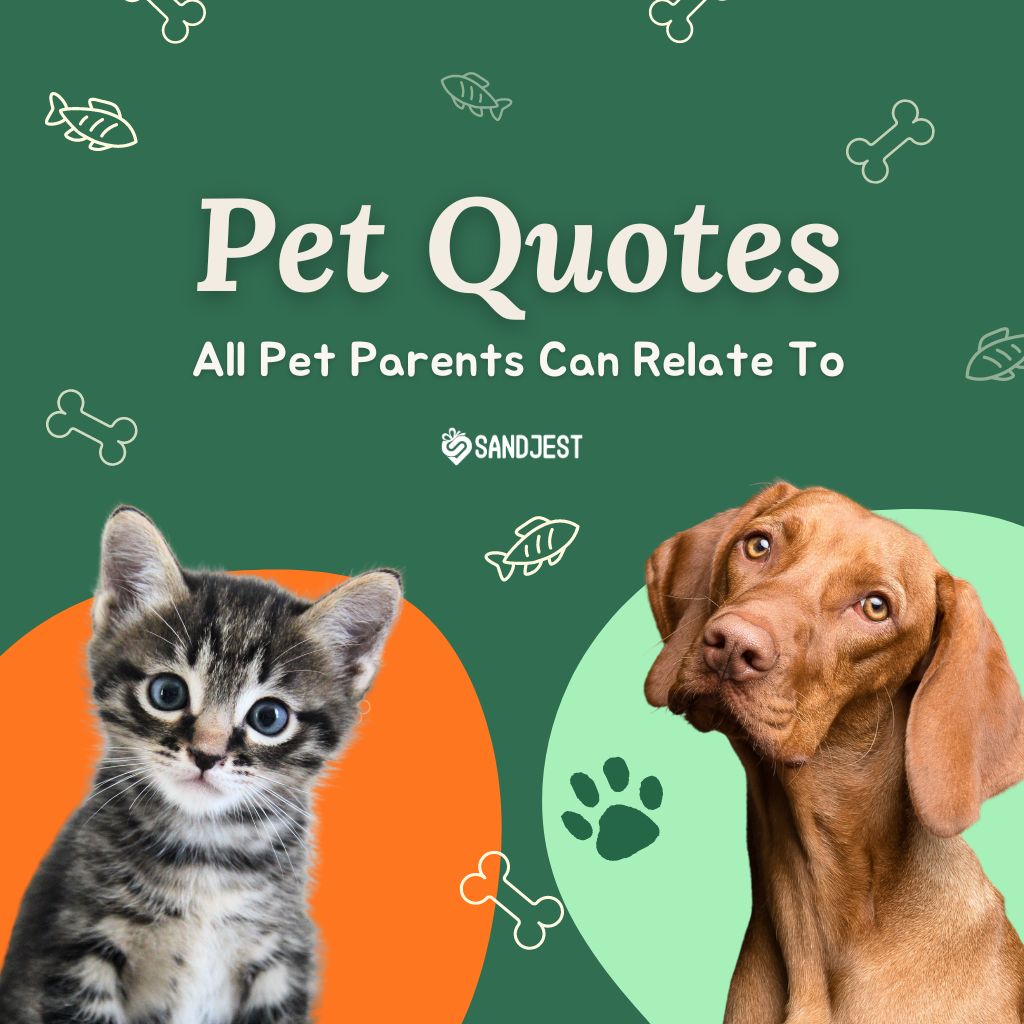 Explore a collection of relatable pet quotes that capture the essence of the unique bond between pet parents and their beloved animals.