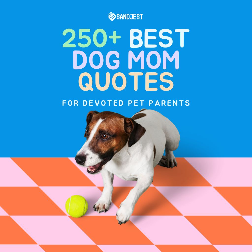 A playful dog with a tennis ball representing '250+ Best Dog Mom Quotes'.