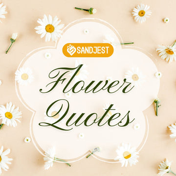 Discover the timeless charm of flower bloom quotes that brighten every moment.