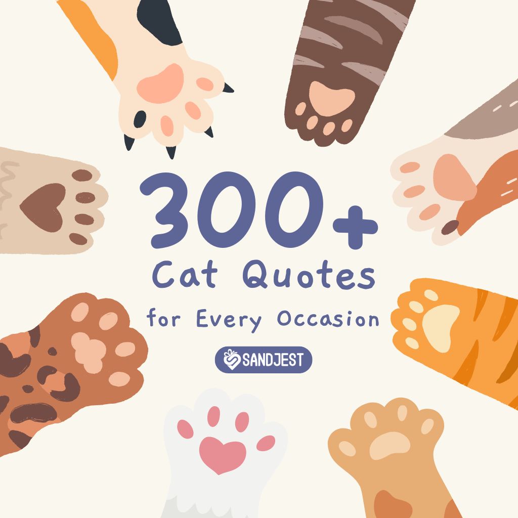 A colorful collection of cat paws represents a variety of cat quotes for every occasion.