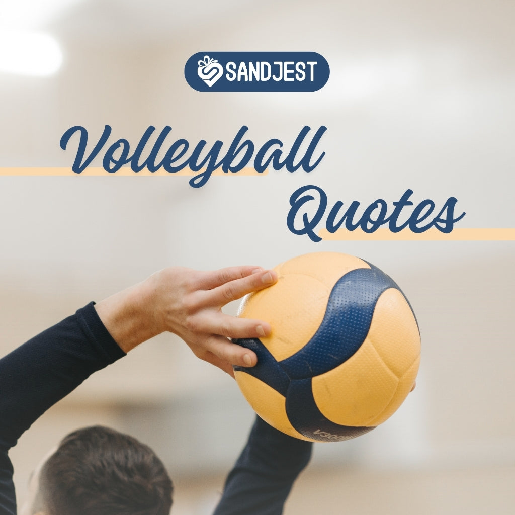 300+ Inspirational Volleyball Quotes And Images That Inspire Success ...