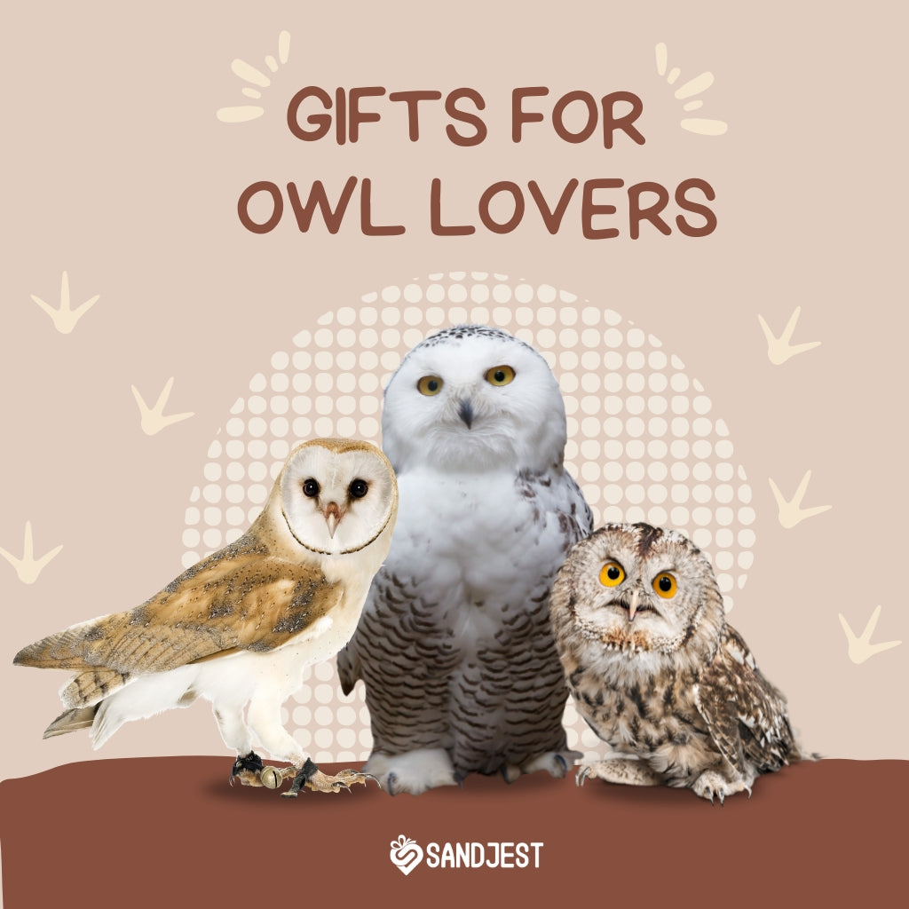 Captivating owl gifts perfect for owl enthusiasts and nature lovers