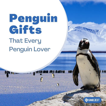 A photo of a person smiling and holding a penguin-themed gift, surrounded by other penguin goodies.