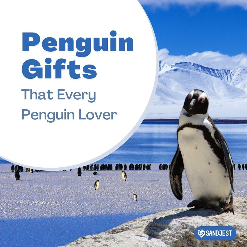 A photo of a person smiling and holding a penguin-themed gift, surrounded by other penguin goodies.