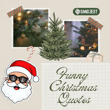 Discover a collection of hilarious Christmas quotes perfect for cards and wishes in this article.