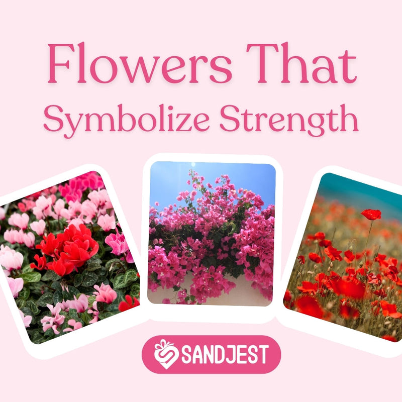 Discover flowers that represent strength for inspiring gifts and meaningful occasions.