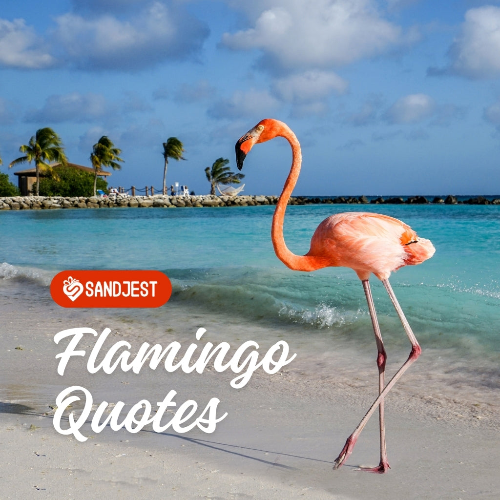 200+ Flamingo Quotes to Brighten Your Day and Social Media