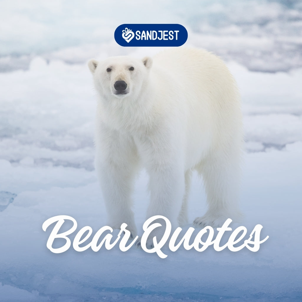 190+ Bear Quotes That Inspire Courage and Resilience