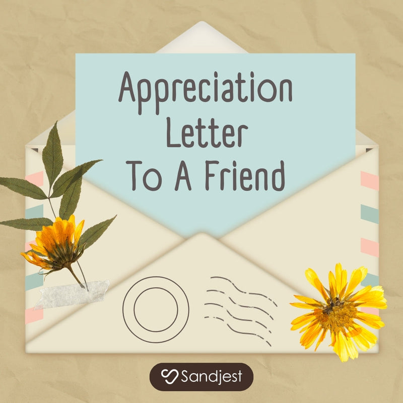 70+ Writing an Appreciation Letter to a Friend Who Matters