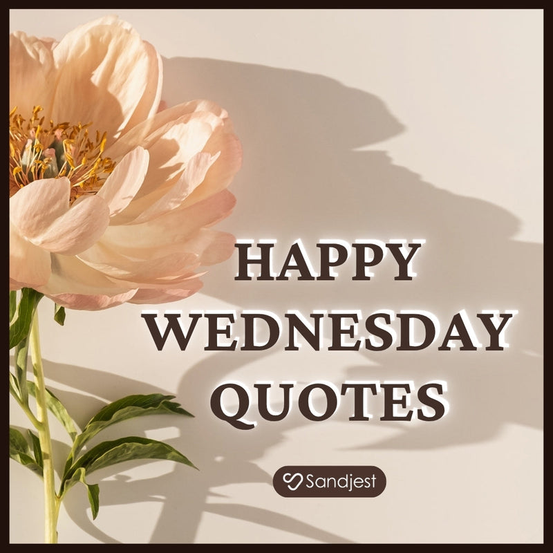 Ease into the day with peaceful happy wednesday quotes designed to reset your morning mood.