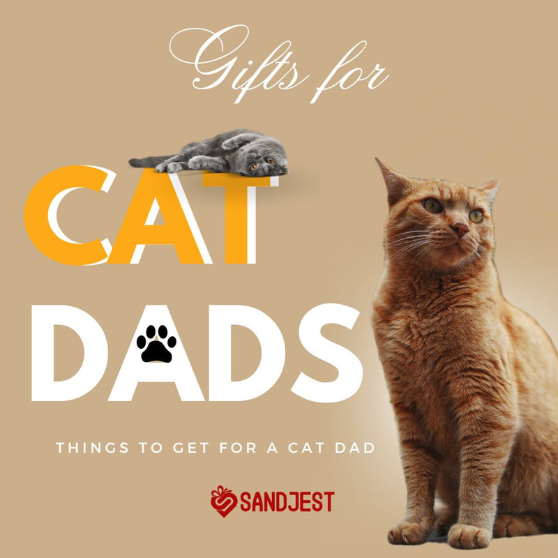 Gifts for Cat Dads Picks for Feline Lovers