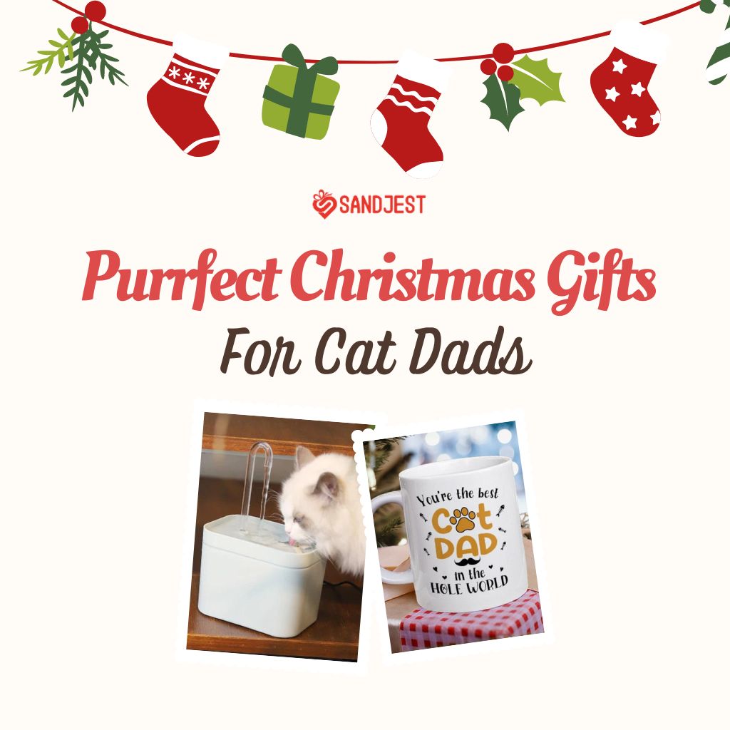 31+ Purrfect Christmas Gifts for Cat Dads that He’ll Love